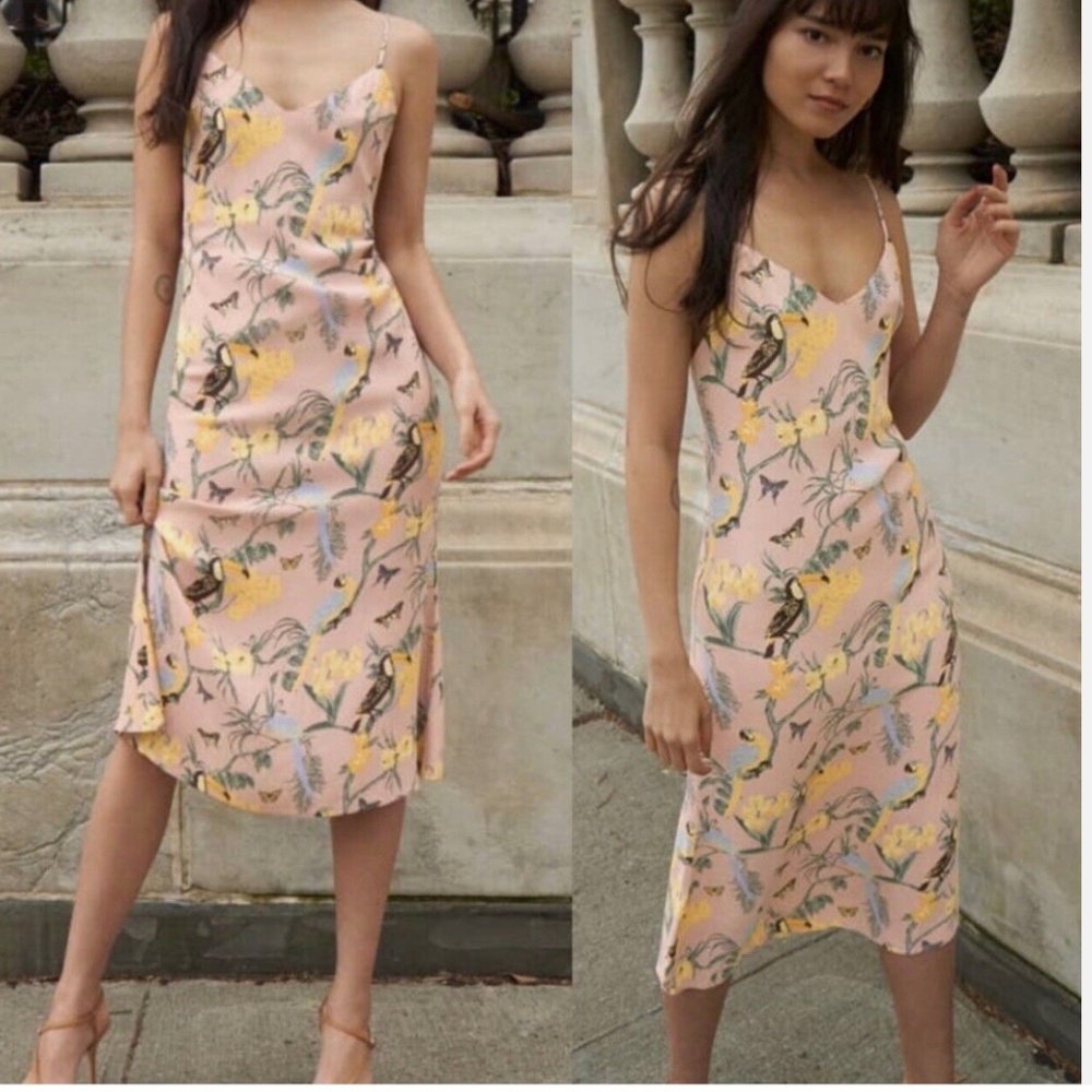 Reformation Midi Chianti Dress Blush Pink Conga Print Birds Floral Open back XS
